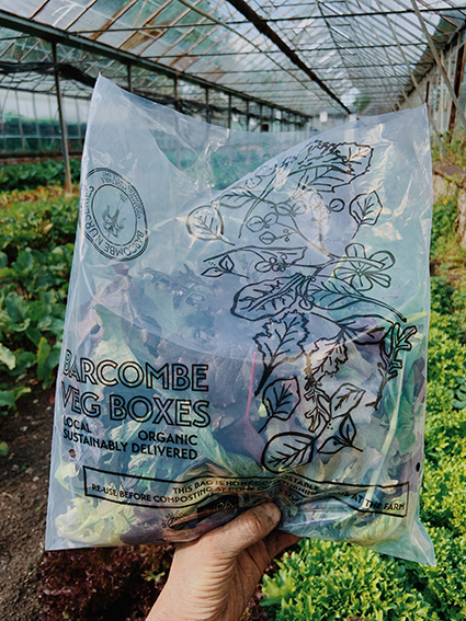 Barcombe Nurseries - Home Compostable Salad Bags